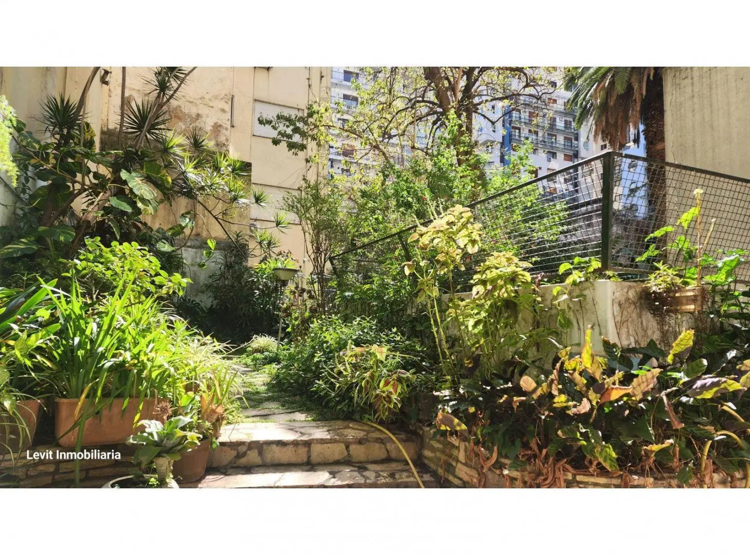 VENTA RETASADO! DPTO Tipo CASA - OASIS en Pleno RECOLETA ÚNICO JARDÍN PRECIO IMBATIBLE! 4