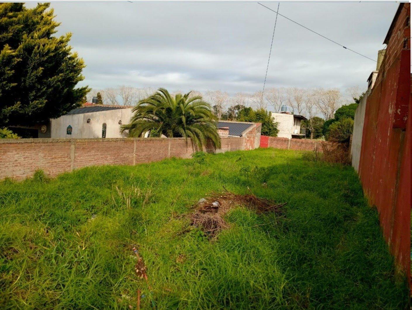 Foto de LOTE EN PUNTA MOGOTES, imagen 1