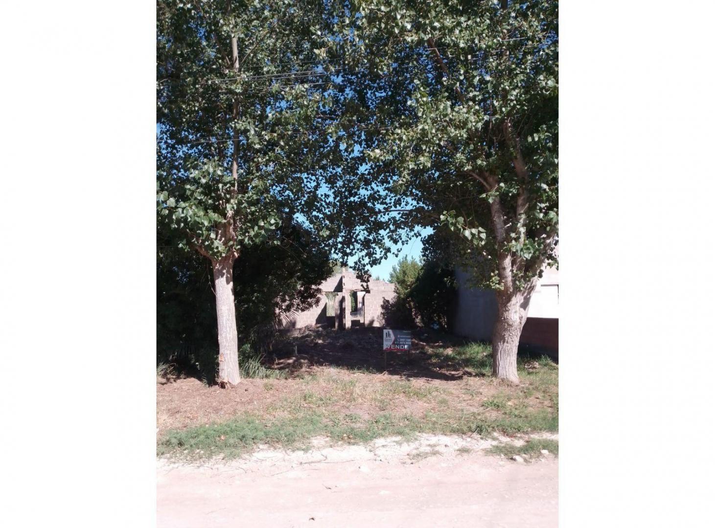 Foto de Venta Lote en Balneario Reta, Tres Arroyos, imagen 3