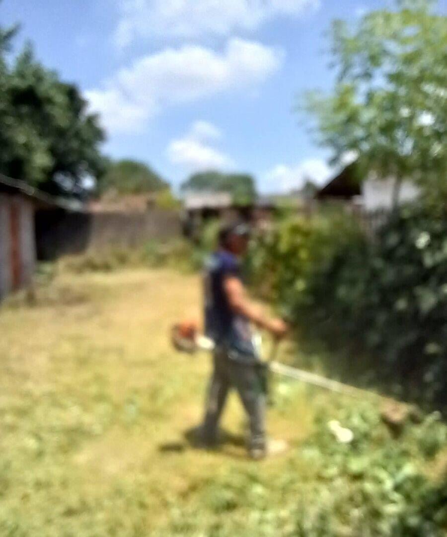 Foto de Lote más Local, imagen 2