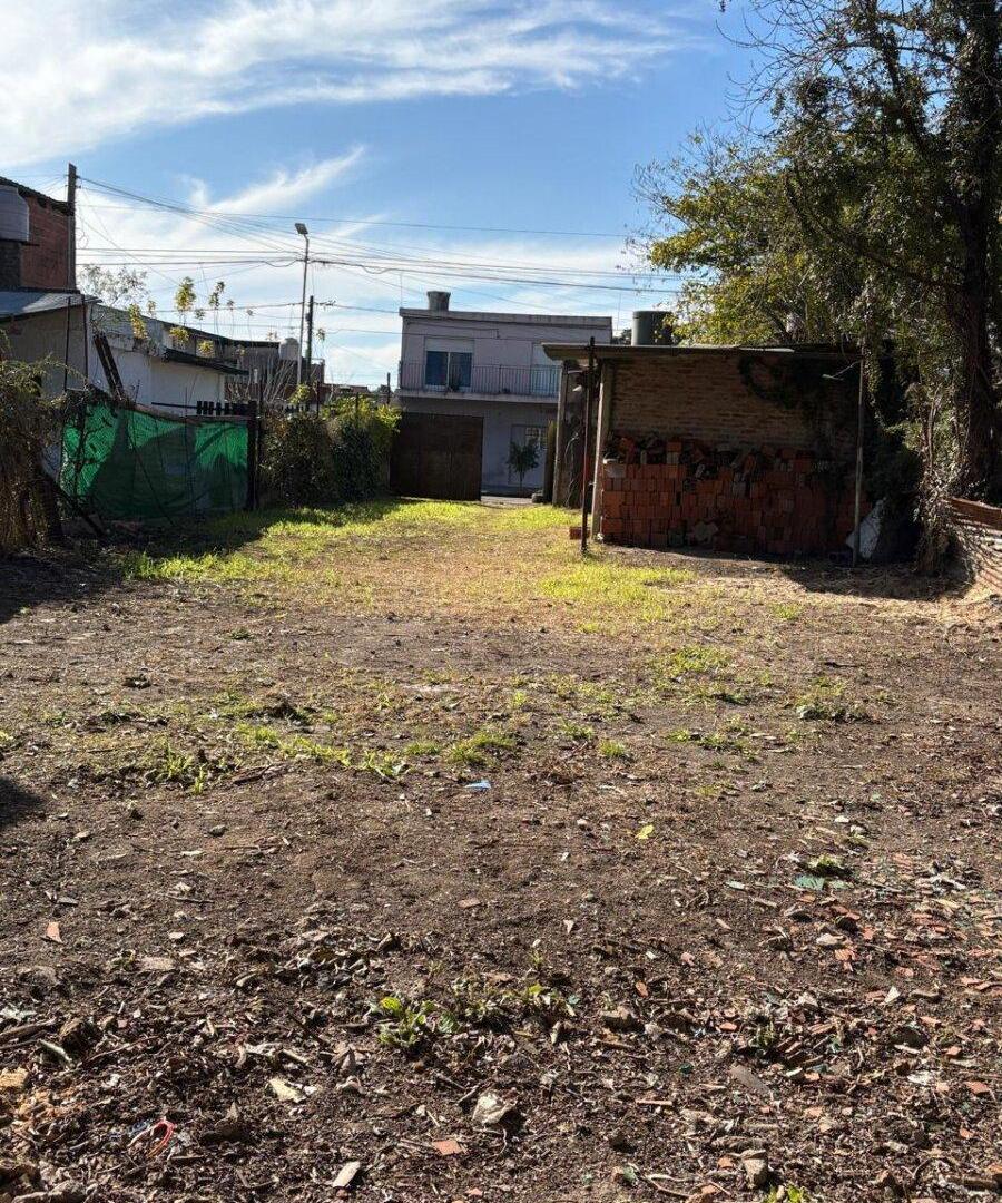 Foto de Lote más Local, imagen 3