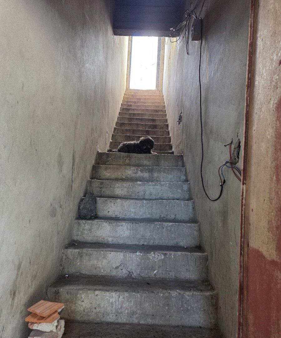 Foto de Local, imagen 2