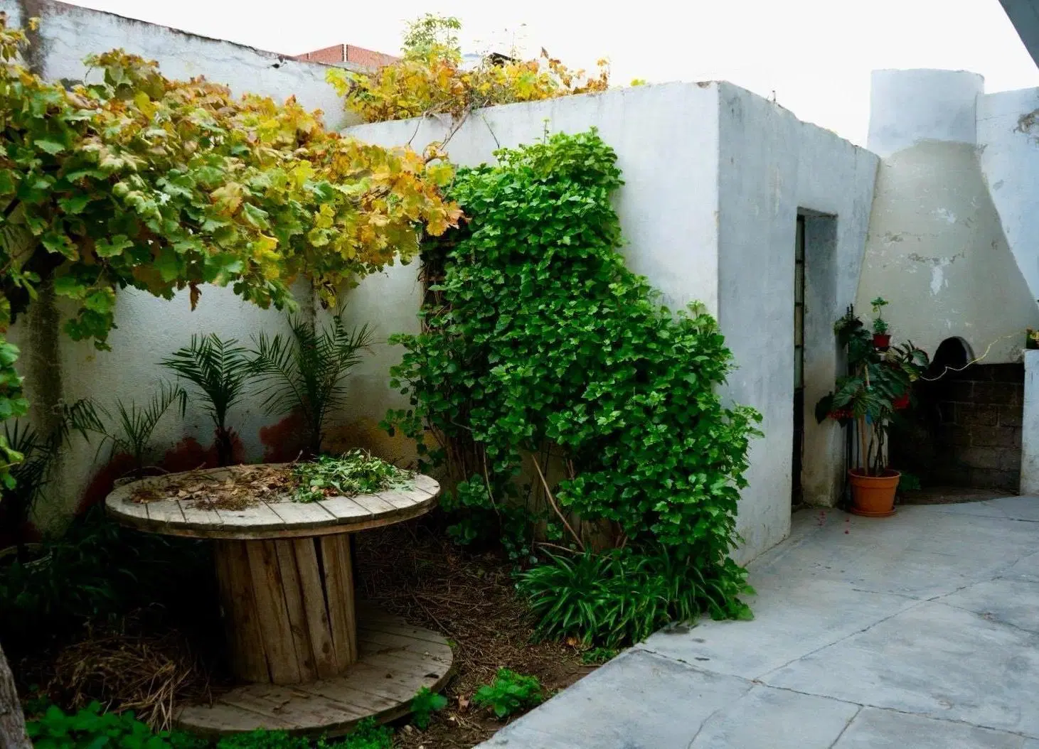 CASA + 5 DEPARTAMENTOS - MITRE 788 - ZONA CENTRO - MADRYN 1