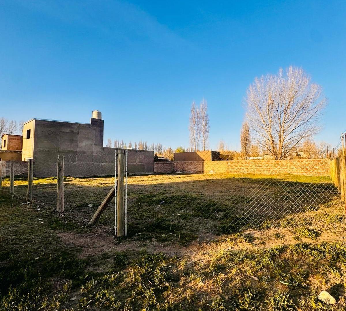 Foto de Terreno - Plottier, imagen 1