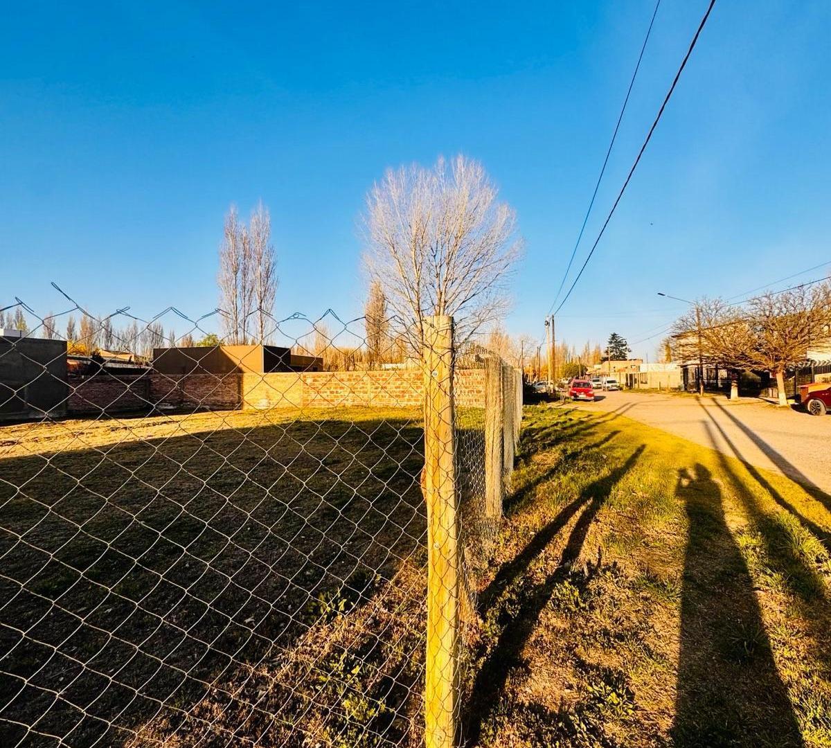 Foto de Terreno - Plottier, imagen 2