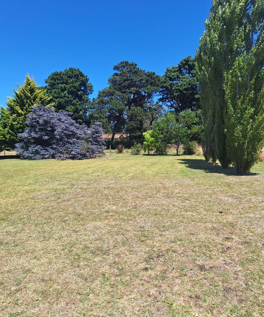 Terreno de 860 m2, parquizado y forestado, en esquina, alambrado perimetral de 7 hilos