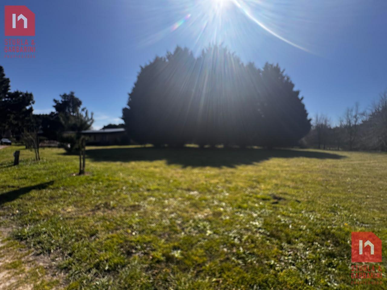 Foto de Terreno arbolado de 2819, 80 m2 Marayui Country Club, imagen 2