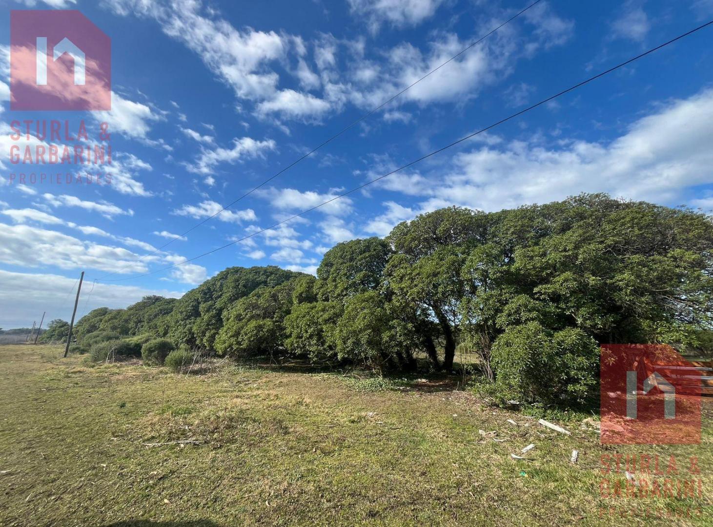 Foto de Playa Chapadmalal, terreno en Diagonal 709, Playa Luna Roja, imagen 5