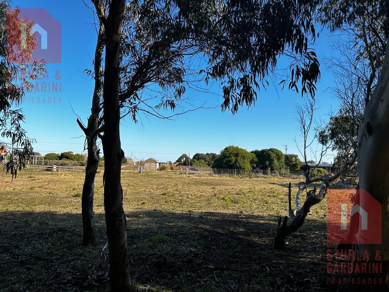 Foto de Playa Chapadmalal, terreno en Diagonal 709, Playa Luna Roja, imagen 3
