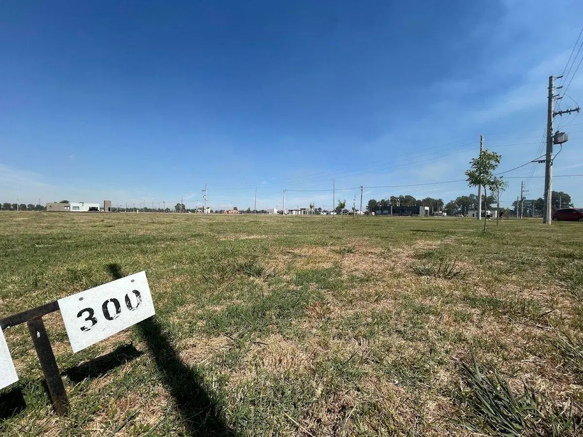 Lote - Finca Joven - Venta - San Vicente 700m2 3