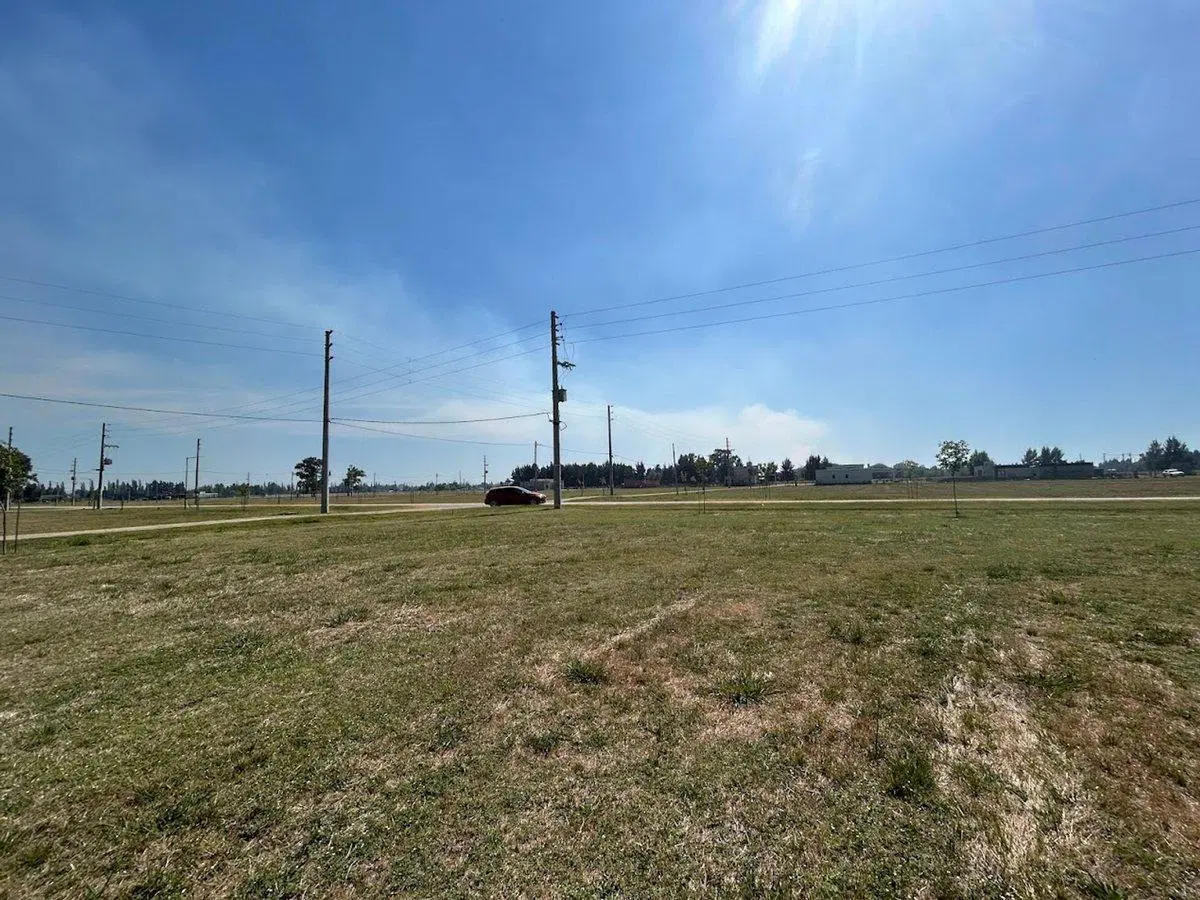 Lote - Finca Joven - Venta - San Vicente 700m2 5