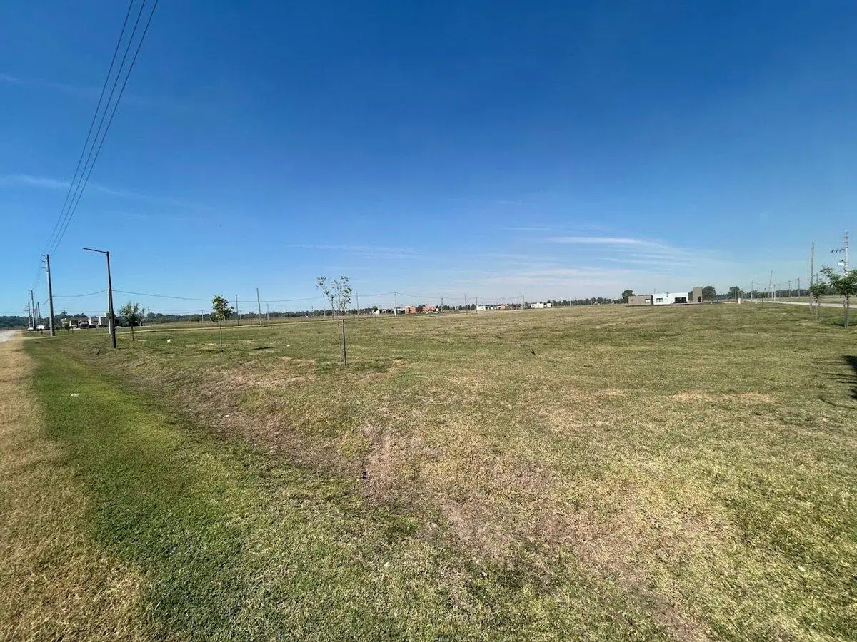 Lote - Finca Joven - Venta - San Vicente 700m2 4