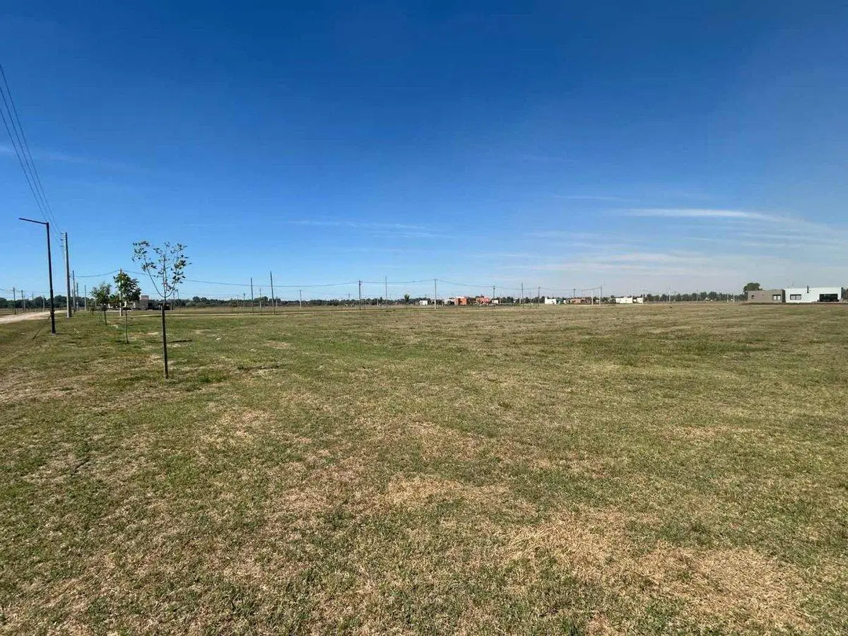 Lote - Finca Joven - Venta - San Vicente 700m2 5