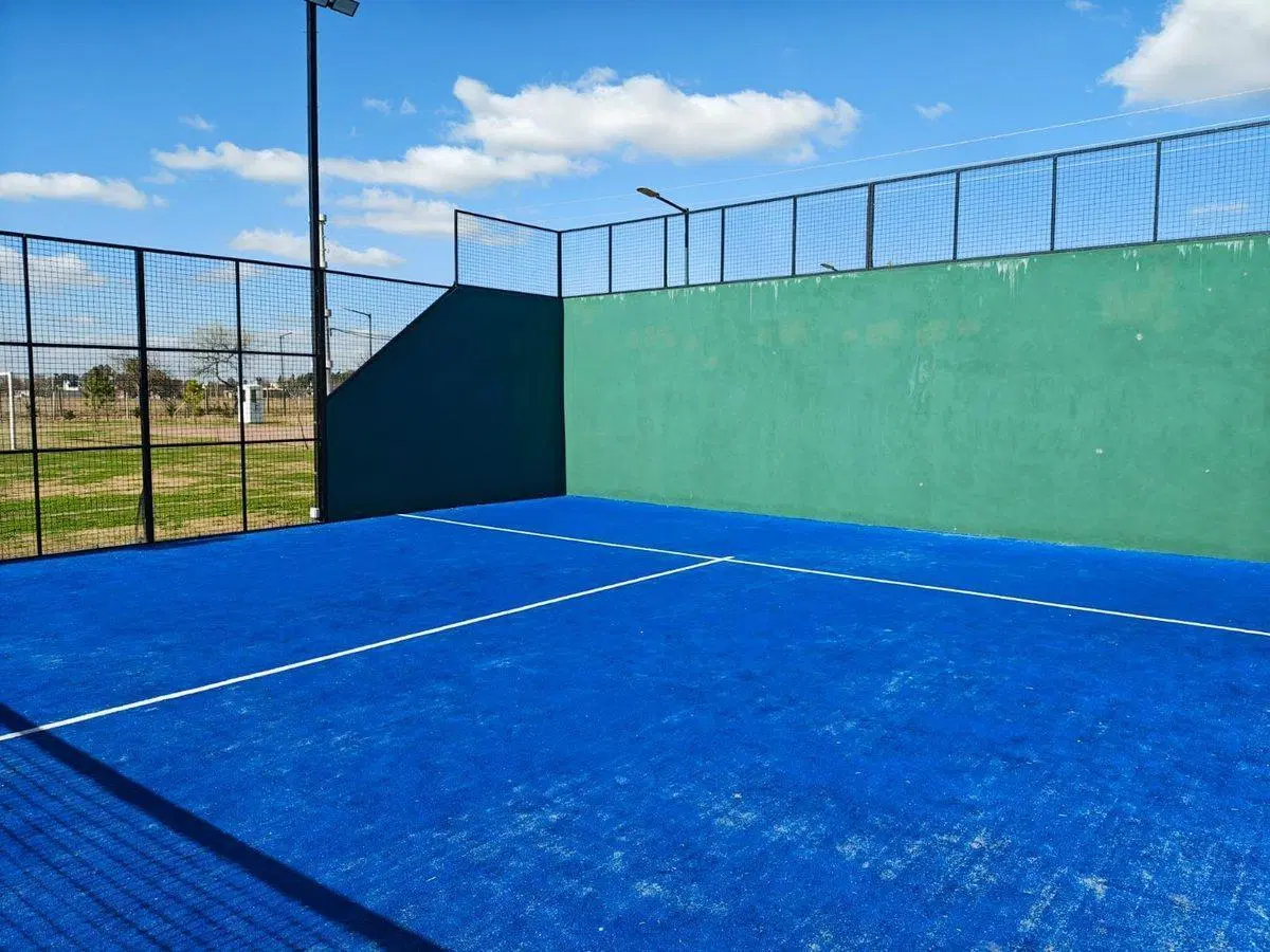 Lote - Finca Joven - Venta - San Vicente 700m2 4