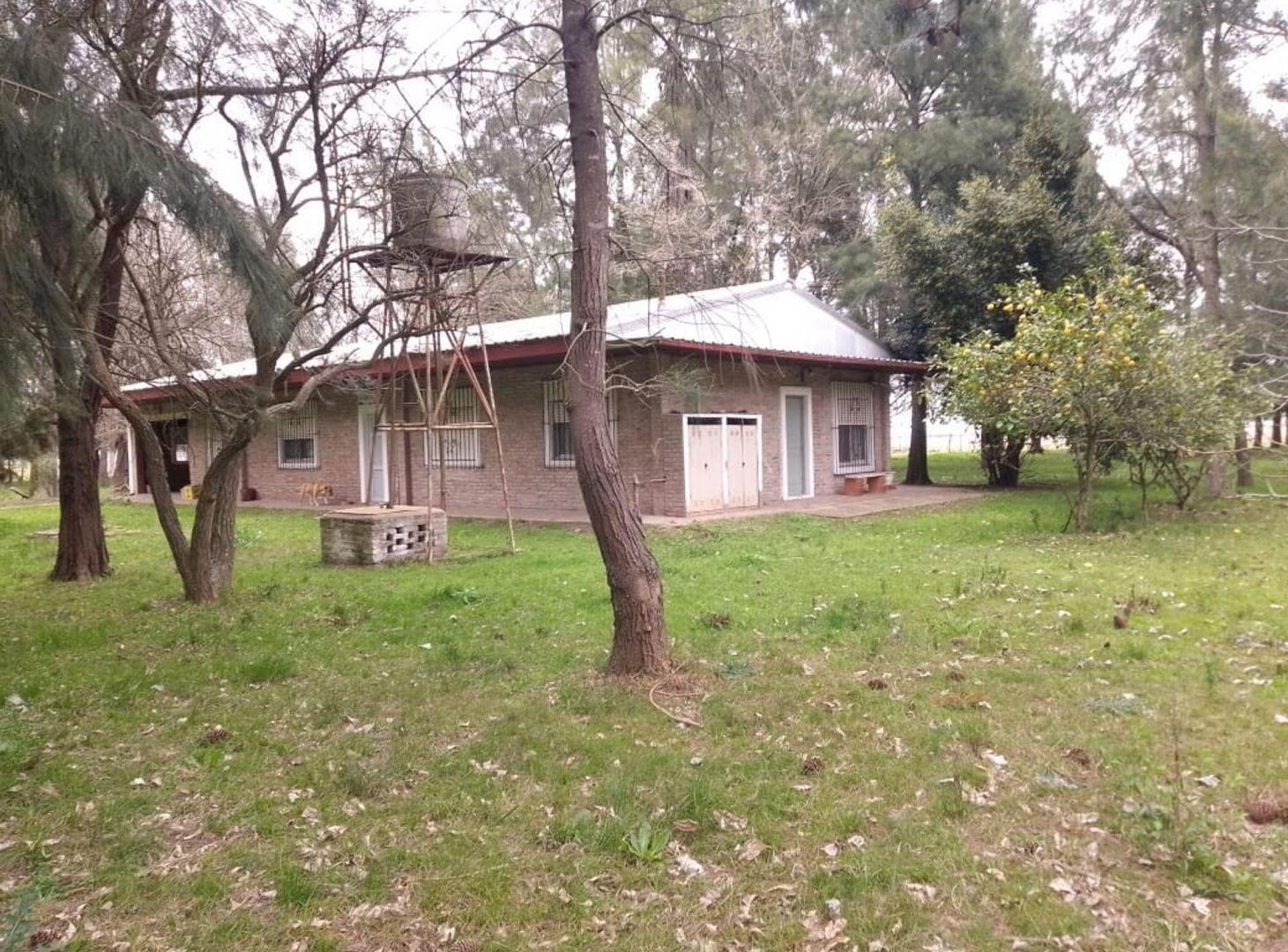 Foto de CAMPO 202 Ha VENTA EN RP6 Y R215 ABASTO LA PLATA, imagen 4
