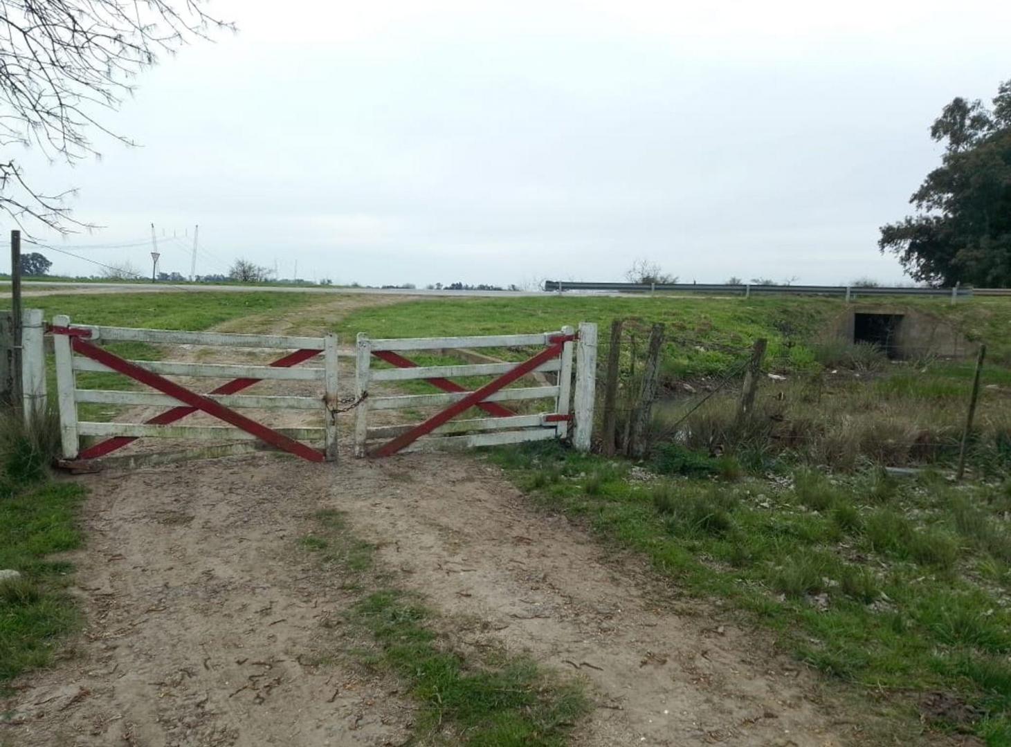 Foto de CAMPO 202 Ha VENTA EN RP6 Y R215 ABASTO LA PLATA, imagen 3
