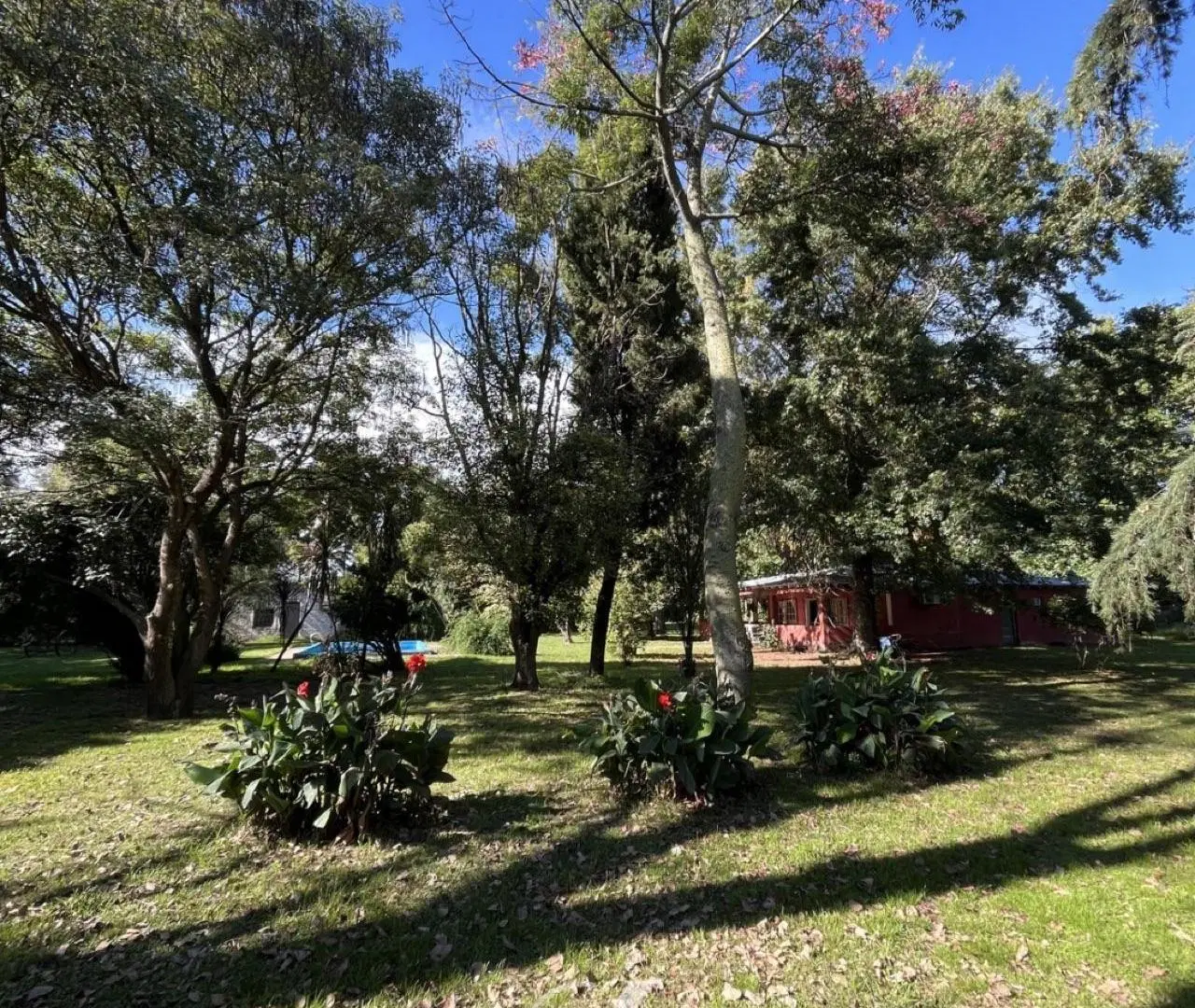 Campo en Alsina 5