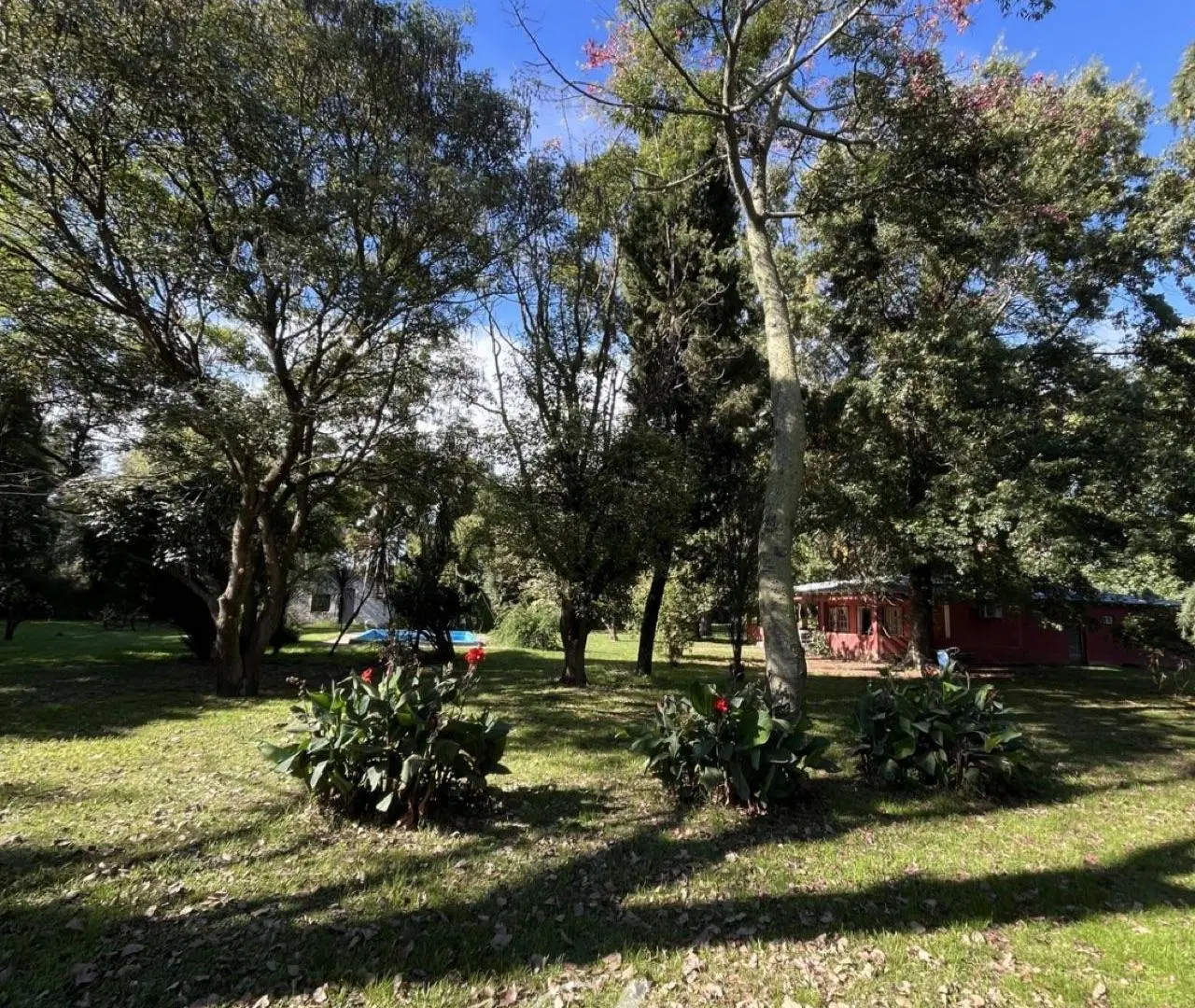 Campo en Alsina 4