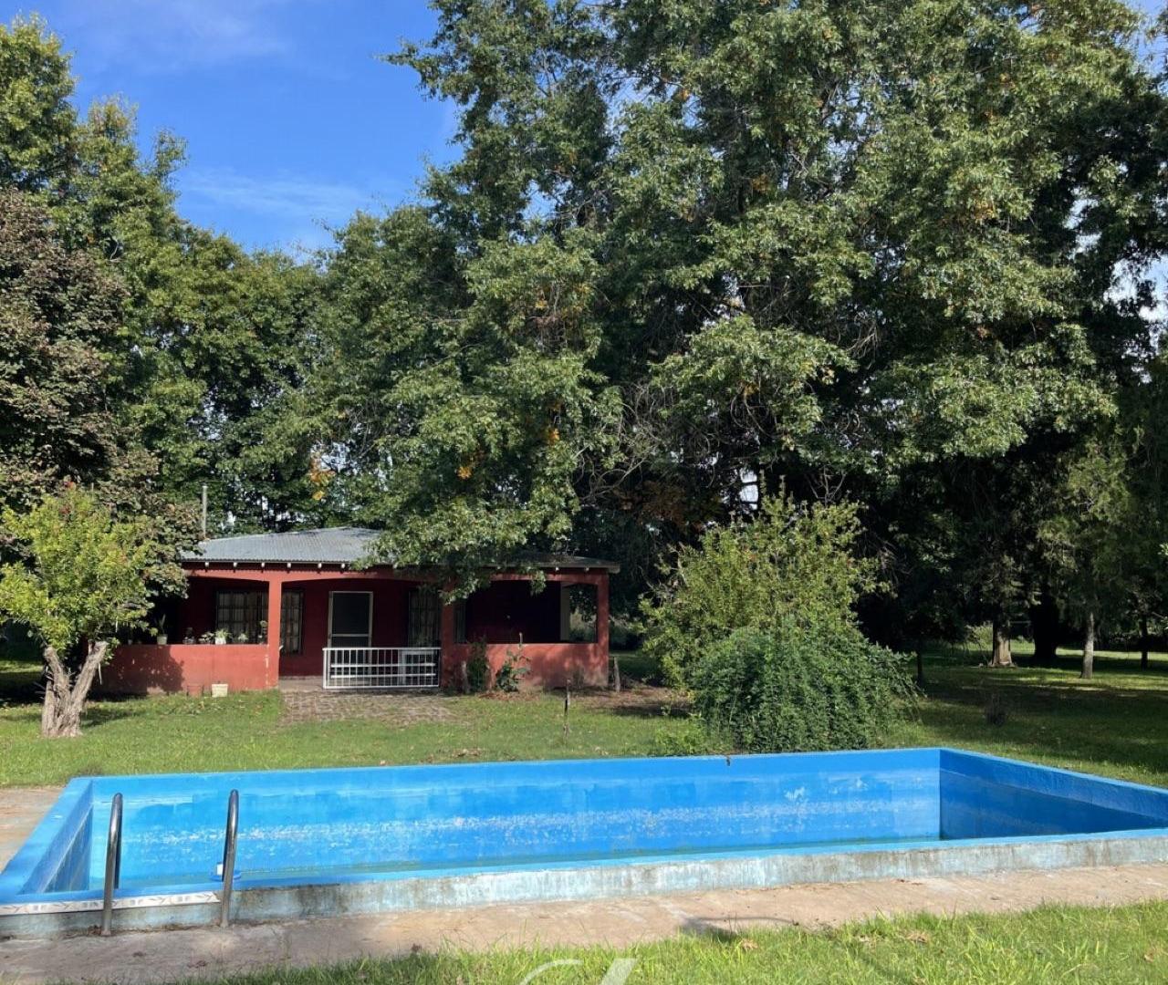 Campo en Alsina