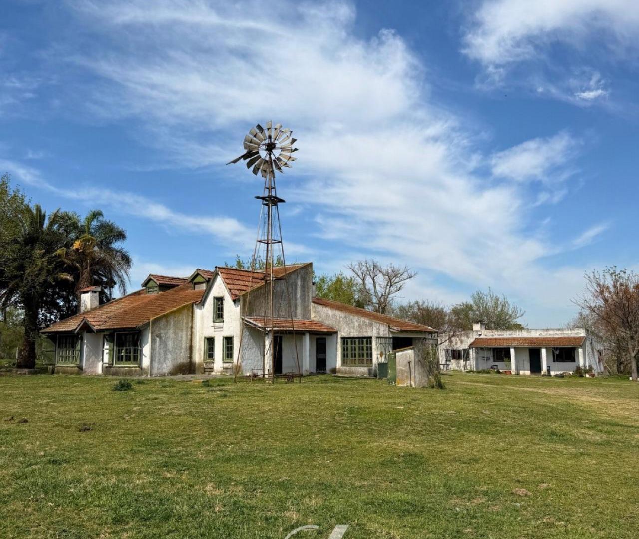 Foto de Campo en Alsina, imagen 1