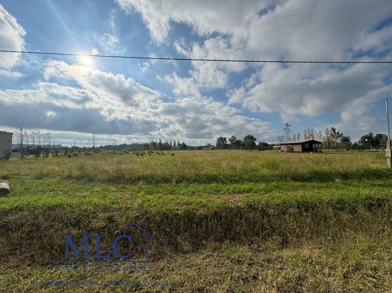 Foto de LOTE EN VENTA BARRIO LA FLORENTINA -SAN MIGUEL DEL MONTE, imagen 4