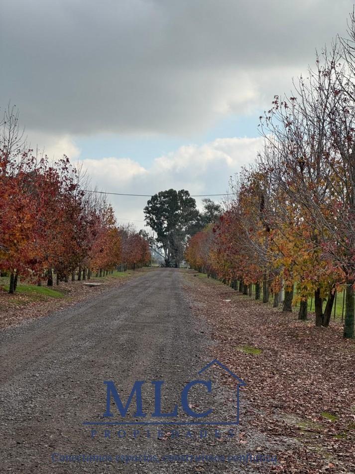 Foto de LOTE EN VENTA BARRIO LA FLORENTINA -SAN MIGUEL DEL MONTE, imagen 1