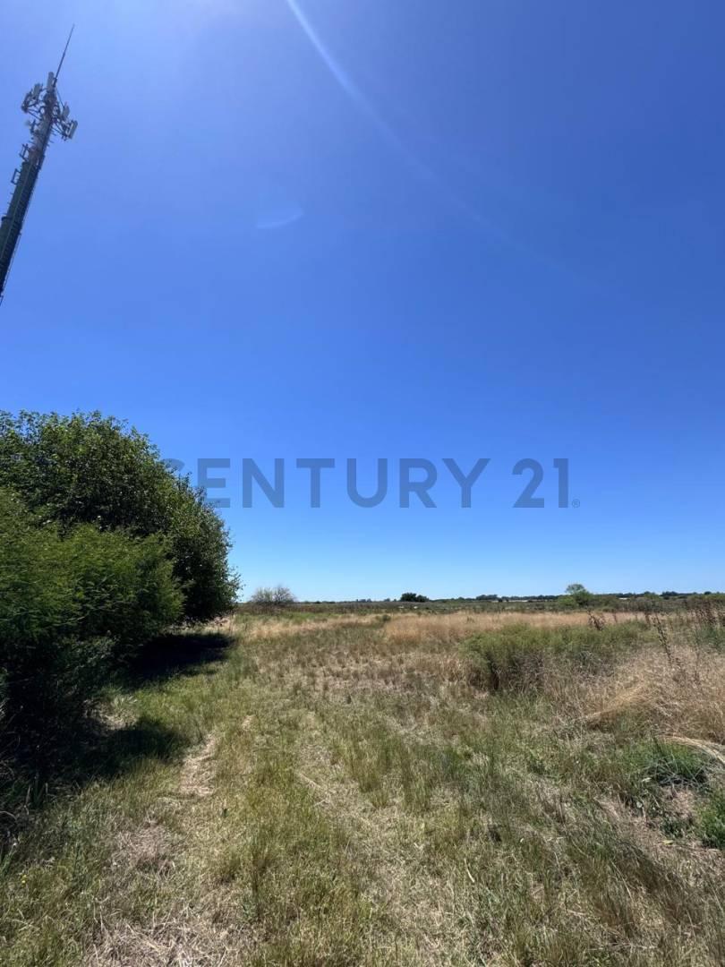 Venta de campo en La Plata
