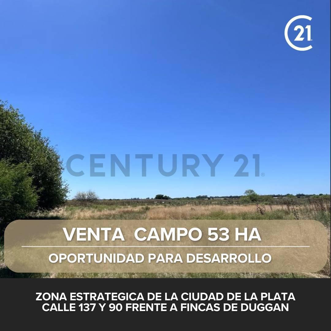 Foto de Venta de campo en La Plata, imagen 2