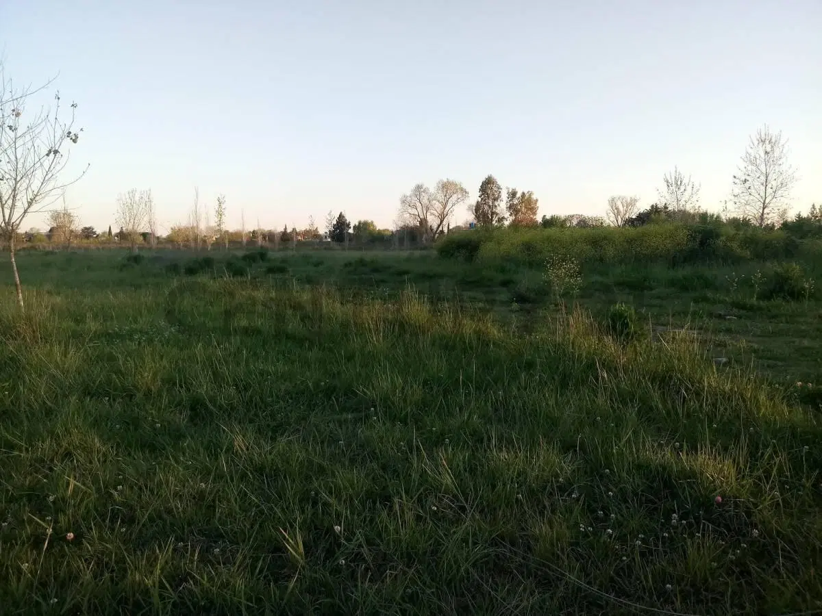 Campo en venta 5