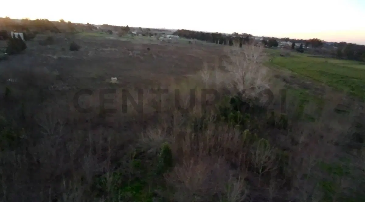 Campo en venta 4