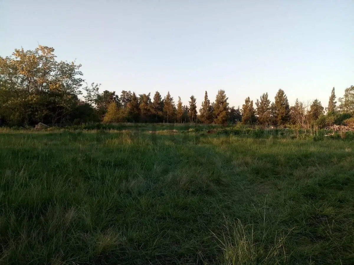 Campo en venta 2