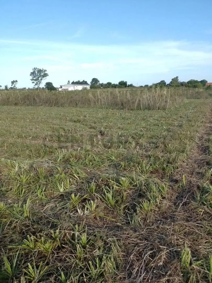 Campo en venta 3