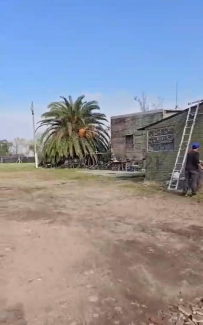 Foto de VENTA LOTE INDUSTRIAL AVELLANEDA, imagen 1