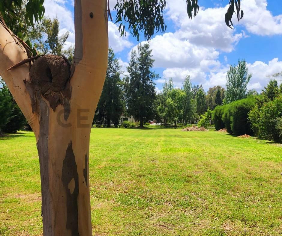 Foto de Lote en Venta - Miralagos, imagen 2
