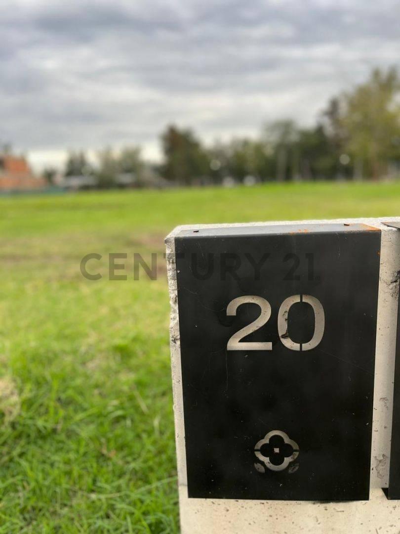 Foto de Lote en Venta, imagen 3