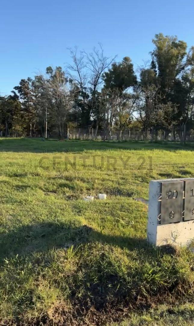 Foto de Lote en Venta, imagen 2