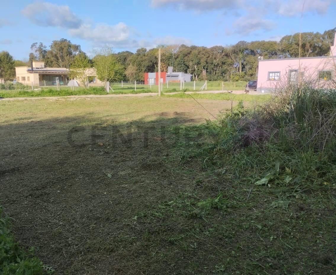 Foto de VENTA DE LOTE EN LOS HORNOS, LA PLATA, imagen 5
