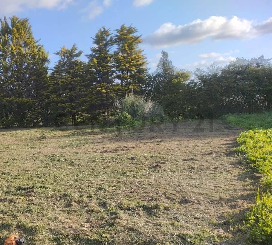 Foto de VENTA DE LOTE EN LOS HORNOS, LA PLATA, imagen 4