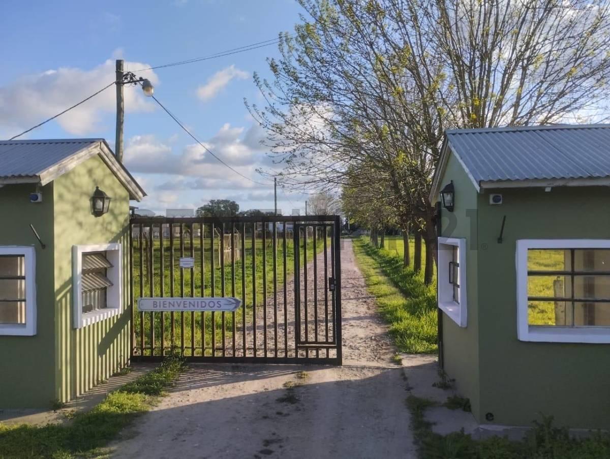 Foto de VENTA DE LOTE EN LOS HORNOS, LA PLATA, imagen 3