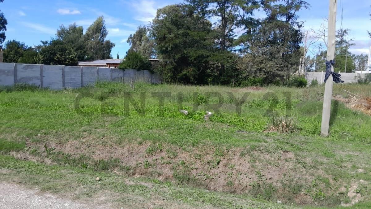 Foto de Venta de Lote en Villa Elvira, La Plata, imagen 5