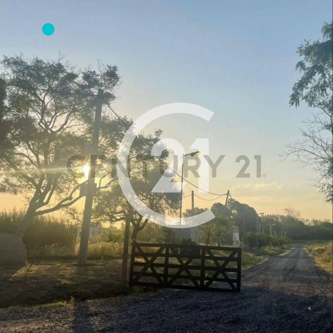 Foto de Lote en City Bell, Barrio abierto La Francisca 446 y 135, imagen 2