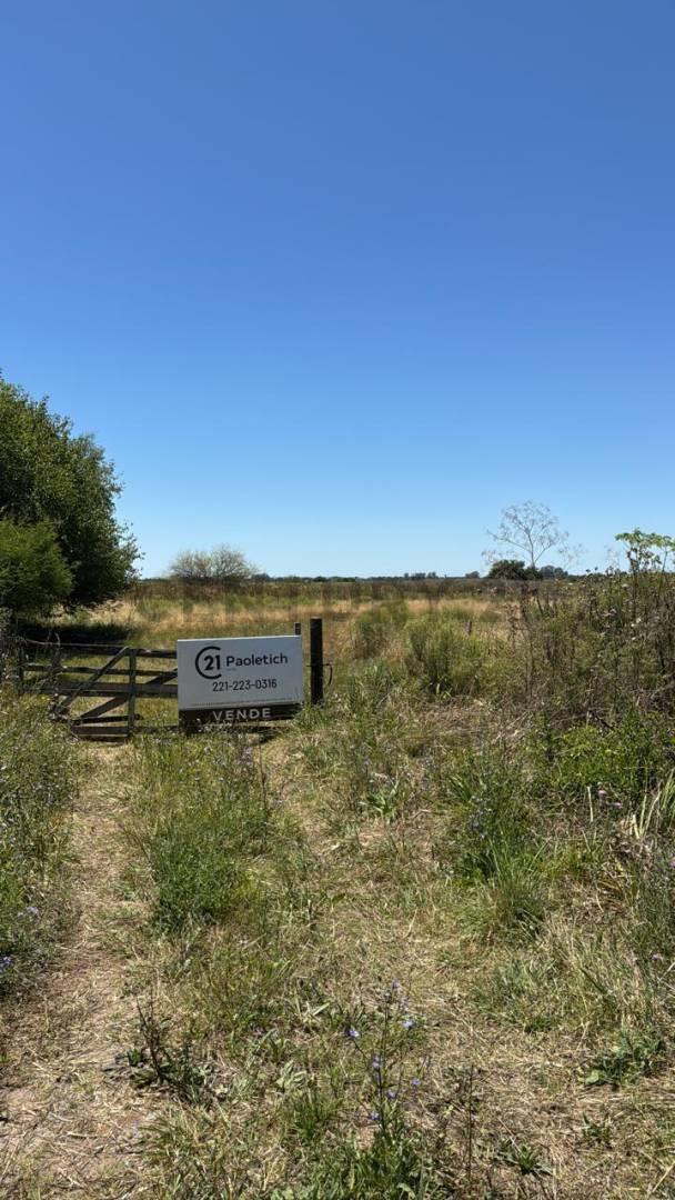 Foto de Venta de campo en La Plata, imagen 1