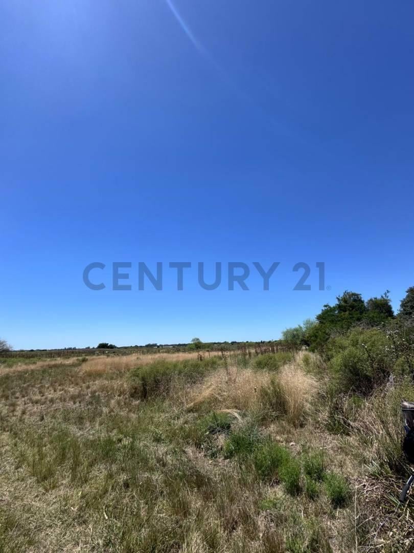 Foto de Venta de campo en La Plata, imagen 4