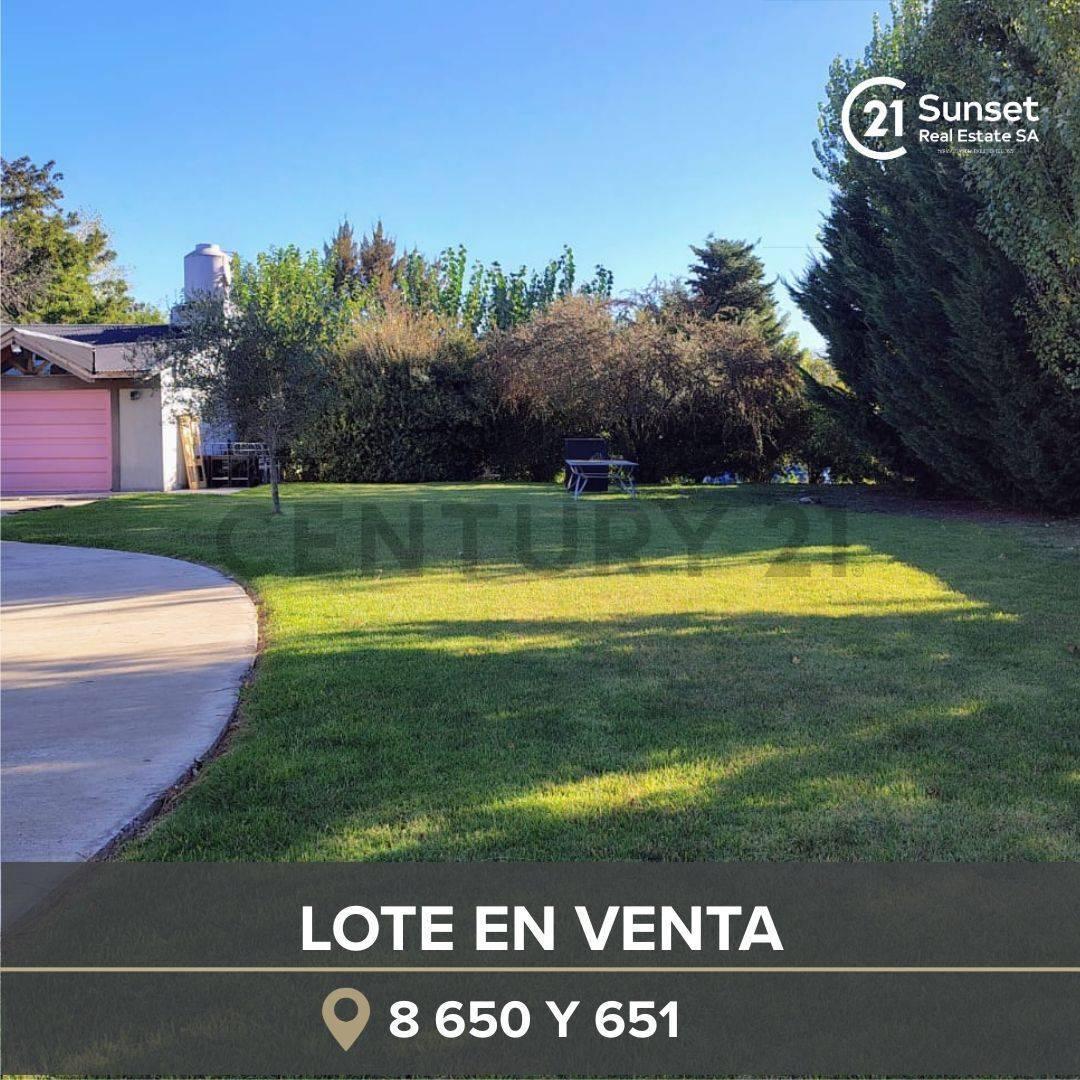 Foto de venta de terreno en Parque Sicardi, imagen 4