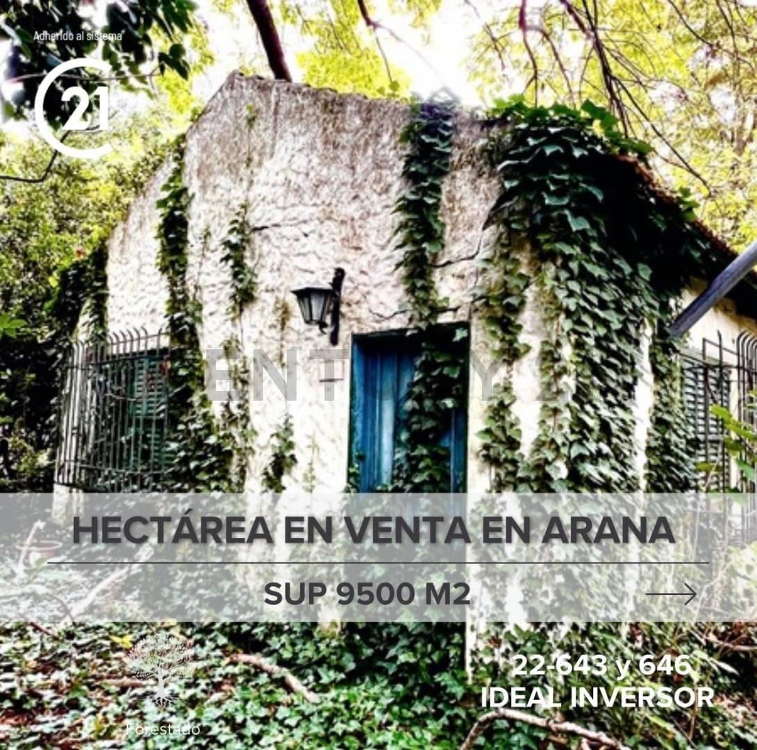 Foto de LOTE EN VENTA, imagen 2