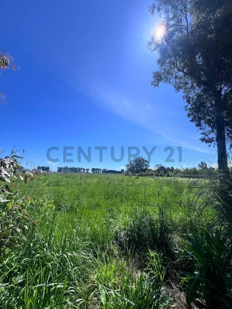 Foto de LOTE EN VENTA LA CAÑADA I - CITY BELL, LA PLATA, imagen 4