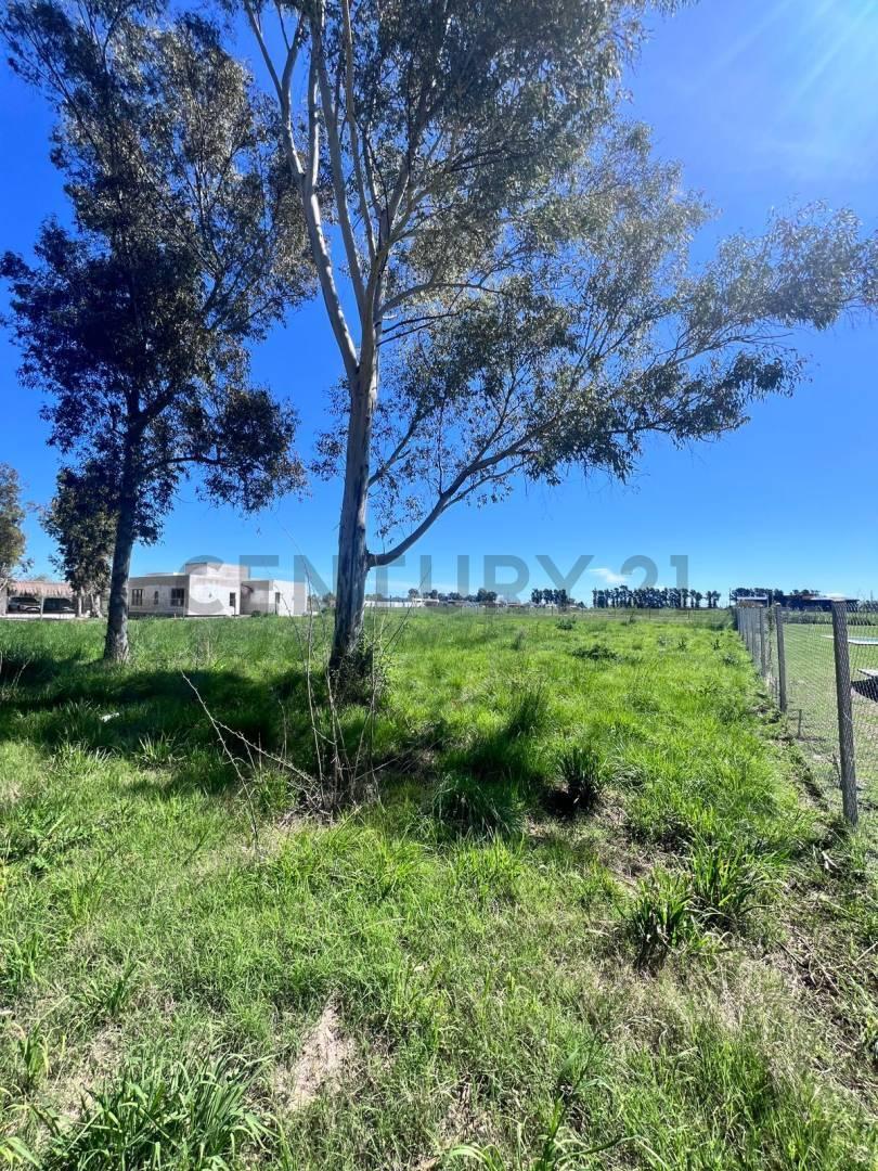 Foto de LOTE EN VENTA LA CAÑADA I - CITY BELL, LA PLATA, imagen 3
