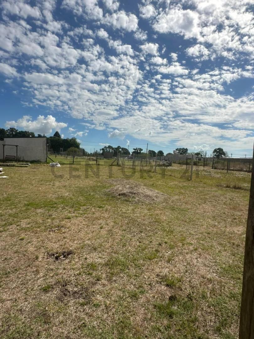 Foto de VENTA LOTE LOS FRESNOS - ARTURO SEGUI, imagen 5