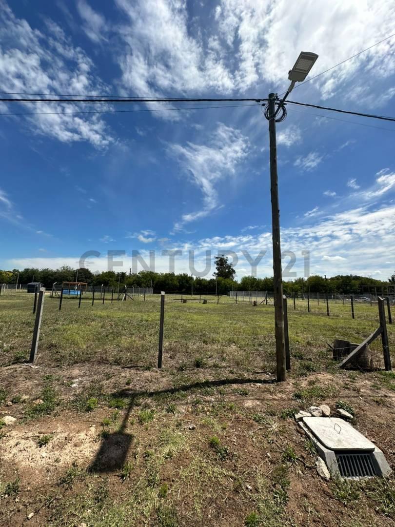 Foto de LOTE DE 250 M2 BARRIO GARDEN - LA PLATA, imagen 2