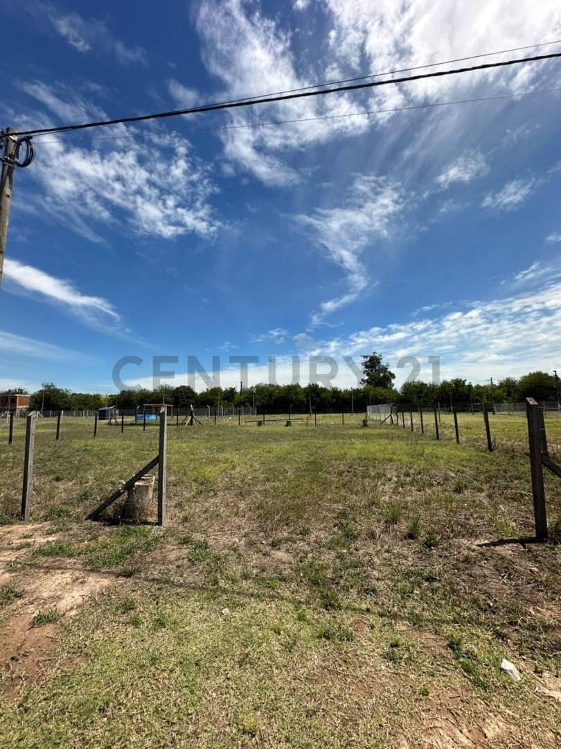 Foto de VENTA LOTE LA PLATA, imagen 5